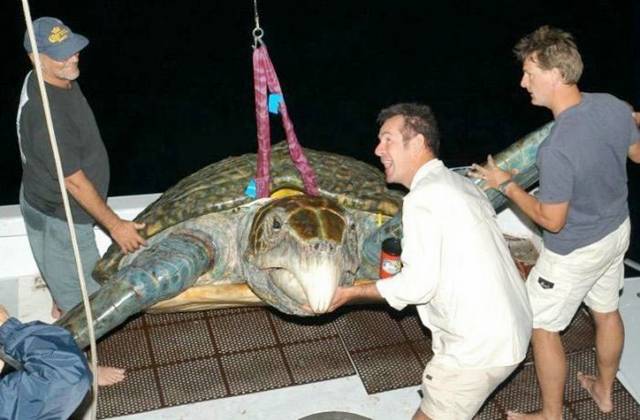 Picdump-Ritemail-010.jpg