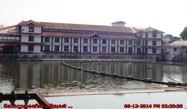 Guruvayur Temple tank - pond