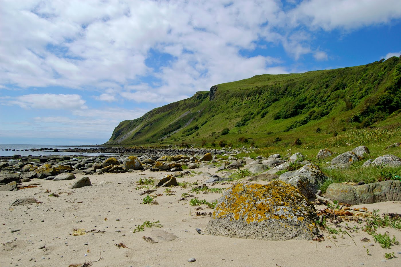 Scottish Wildlife Blog Kildonan, Isle of Arran