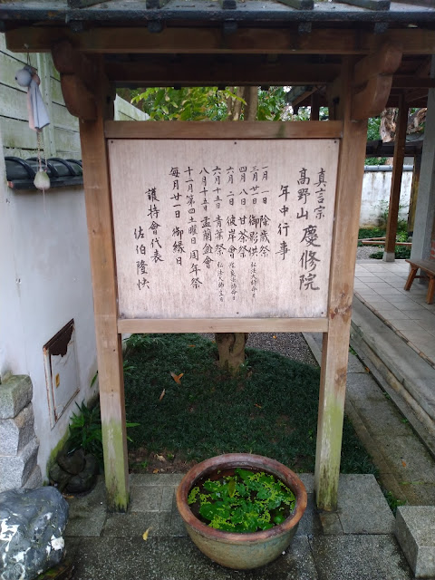 raw-image