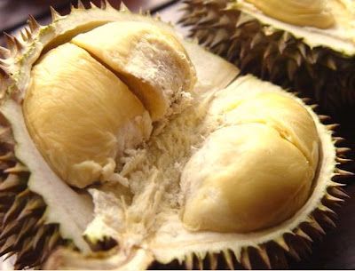 durian paling sedap di dunia