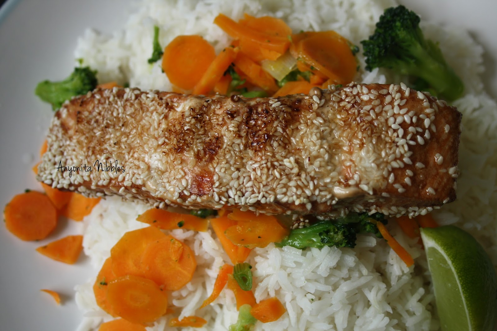 Anyonita Nibbles GlutenFree Recipes Gluten Free Sesame Salmon with