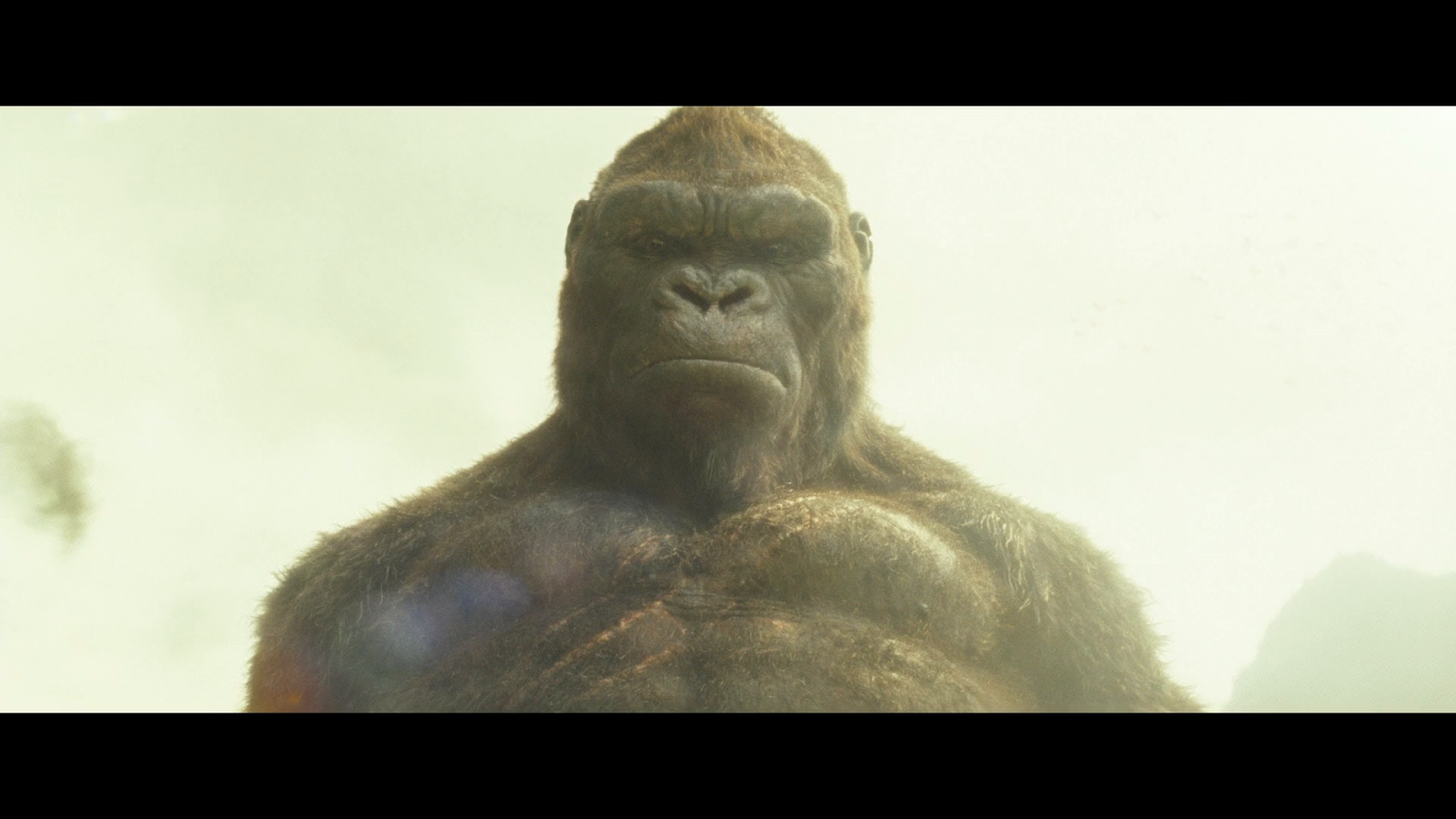 Годзилла против кинга. Кинг конг новая империя дата выхода. Кинг конг новая империя дата выхода. Конг остров черепа чакмон. Скелет кинг конга.