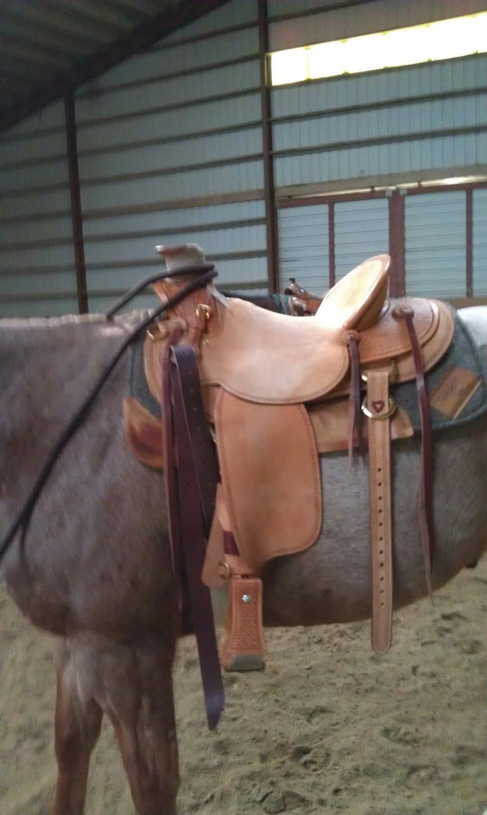 Buckaroo Leather Horse Tack, Use, Care and Maintenance Satisfied Owner