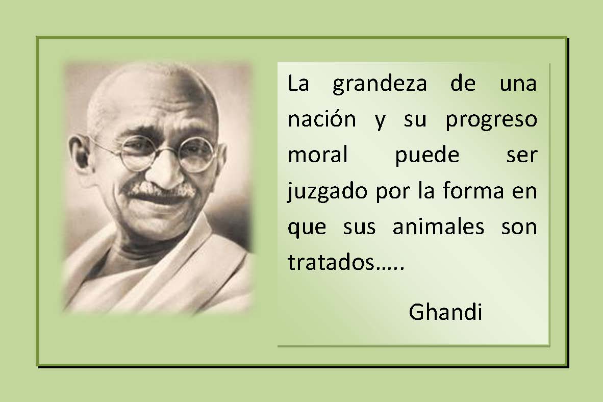 Ver las imágenes de origen