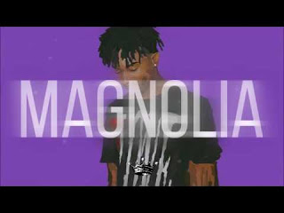 Playboi Carti Magnolia