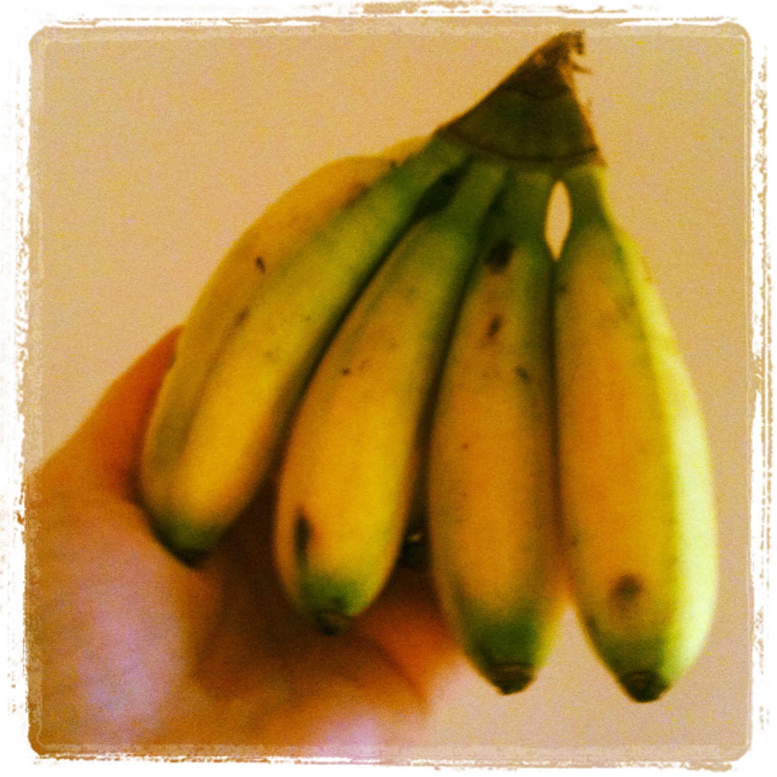 Aliment Banana "Soft Serve" with MixIns