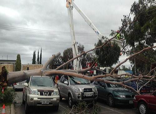Adelaide_Southern_Australia_wild_weather_damage_photo