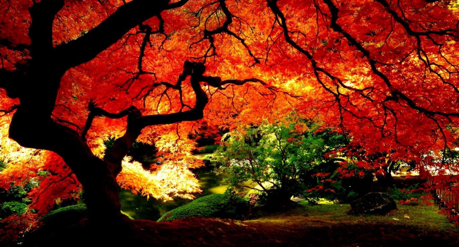 free fall wallpaper backgrounds