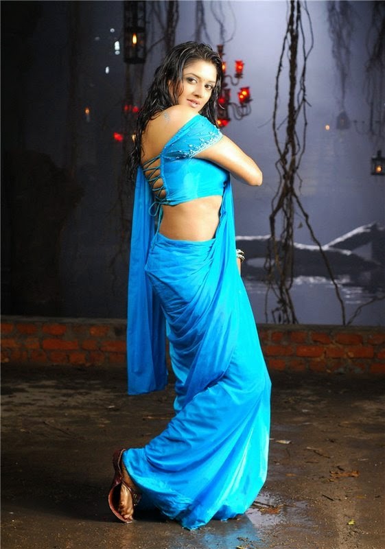 hot-actress-vimala-raman-spicy-photos-5_