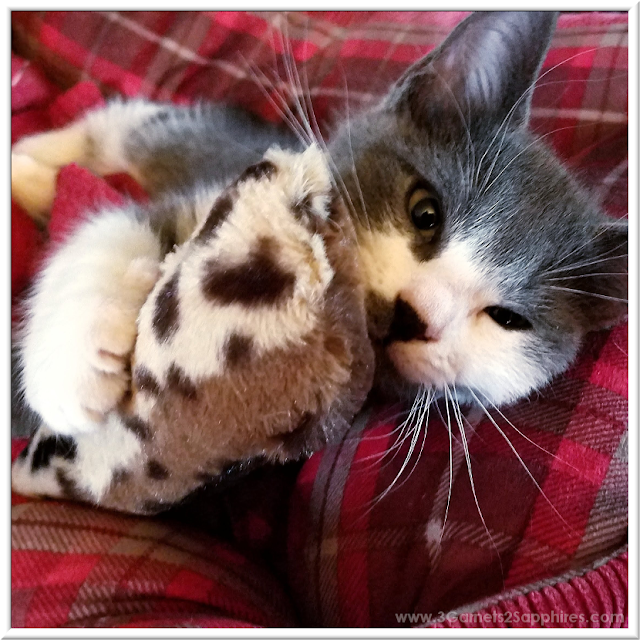 Plush FuzzyNipper Catnip Toys | 3 Garnets & 2 Sapphires