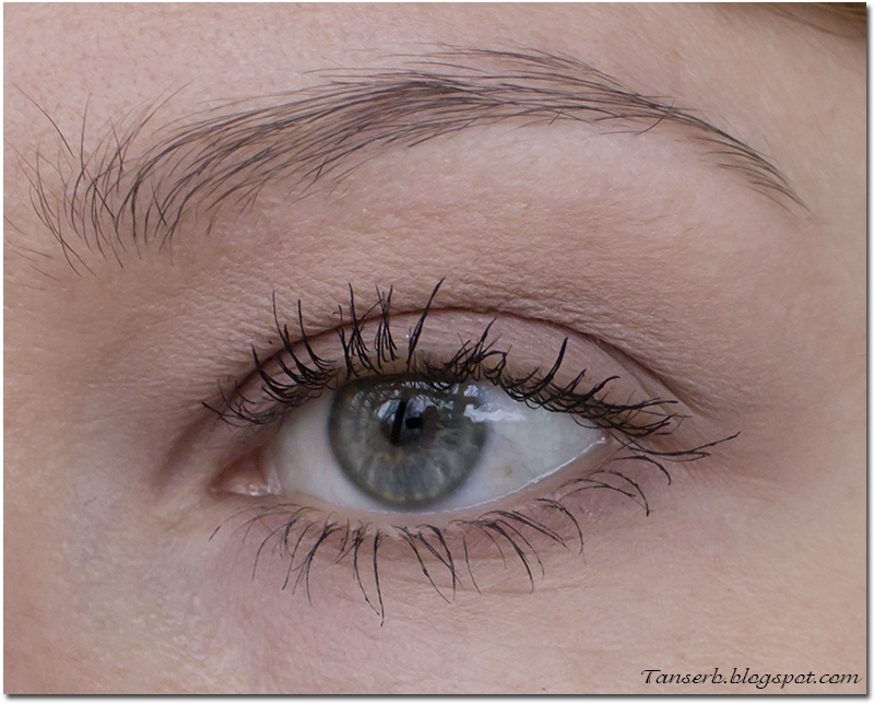 Тени для бровей NYX Eyebrow Powder # 03 Taupe/Ash : Отзыв / Review ...