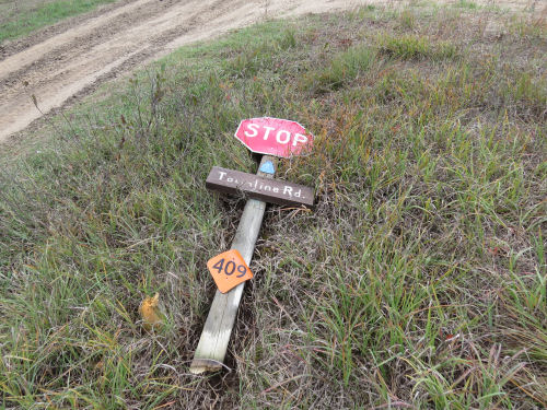 fallen signboard
