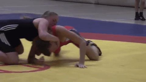 Men Wrestling Women: 2013