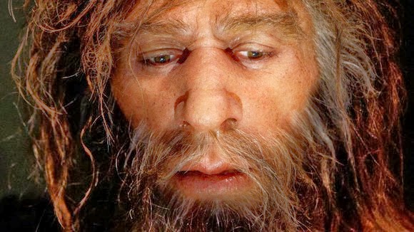 neanderthal-1.jpeg