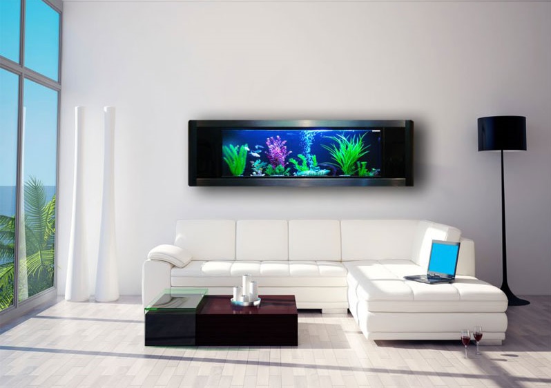 Divagando Alto Quadro aquário