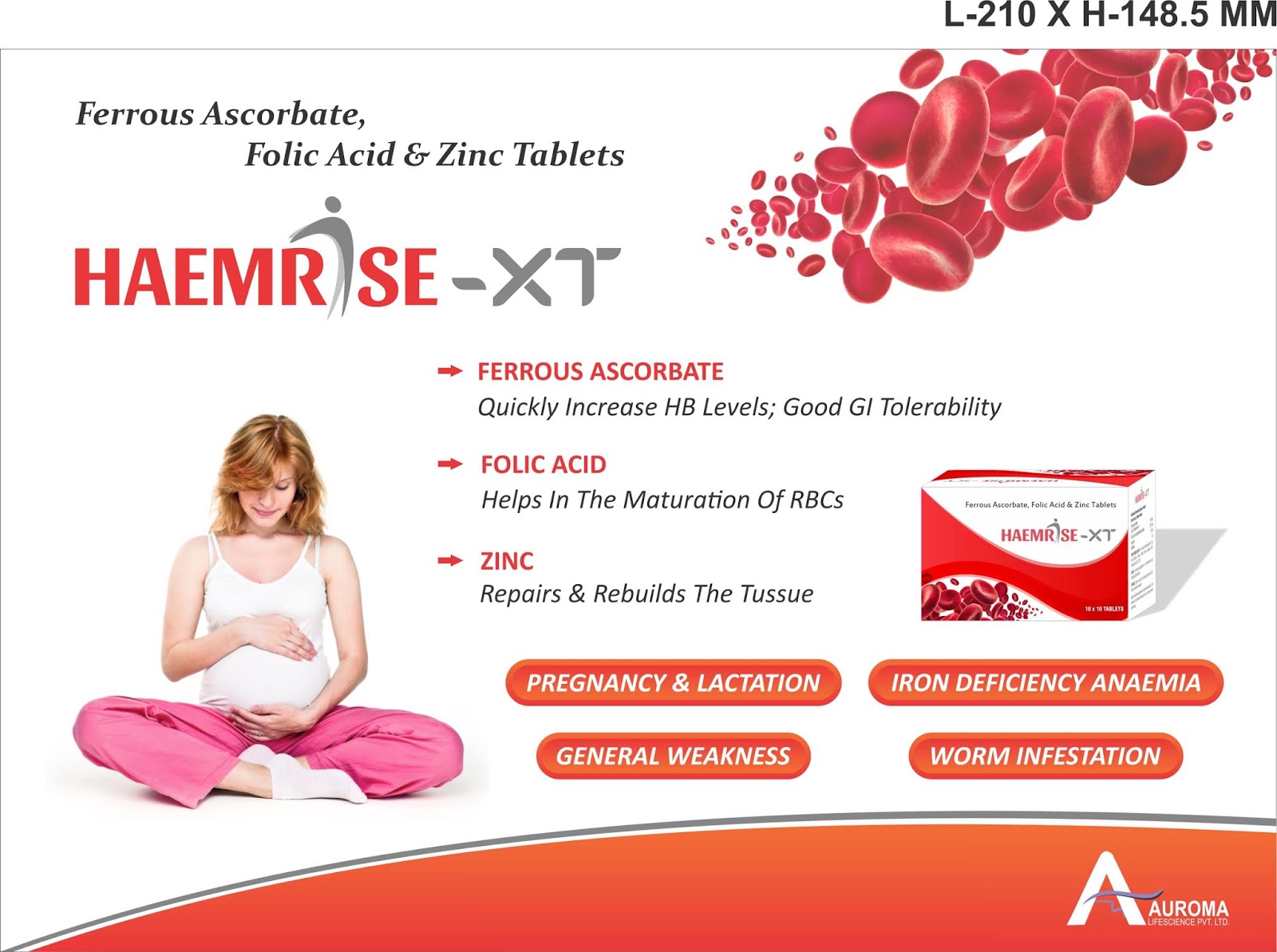 DIVERSITY GRAPHICS PRINT PACK Ferrous Ascorbate Folic Acid Zinc diversity-graphics-print-pack-ferrous-ascorbate-folic-acid-zinc