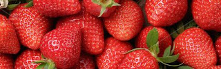 Dehydrating fruit, dehydrating strawberries, how to dehydrate strawberries, using dried fruit