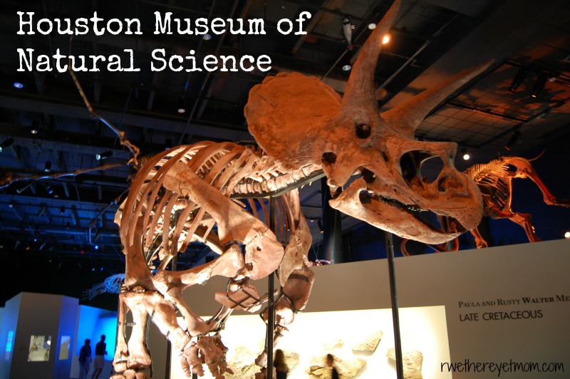 Houston Museum Of Natural Science 8