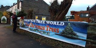 Buying a Christmas tree from Christmas Tree World in Cheadle Hulme