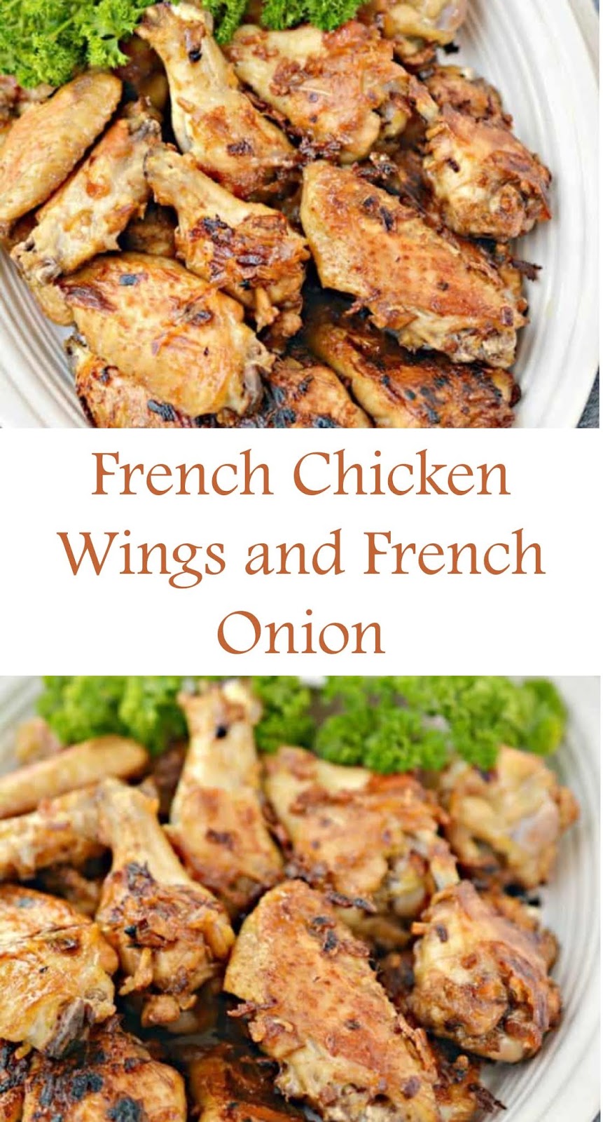 1704 Reviews My BEST Recipes >> French Chicken wings and french