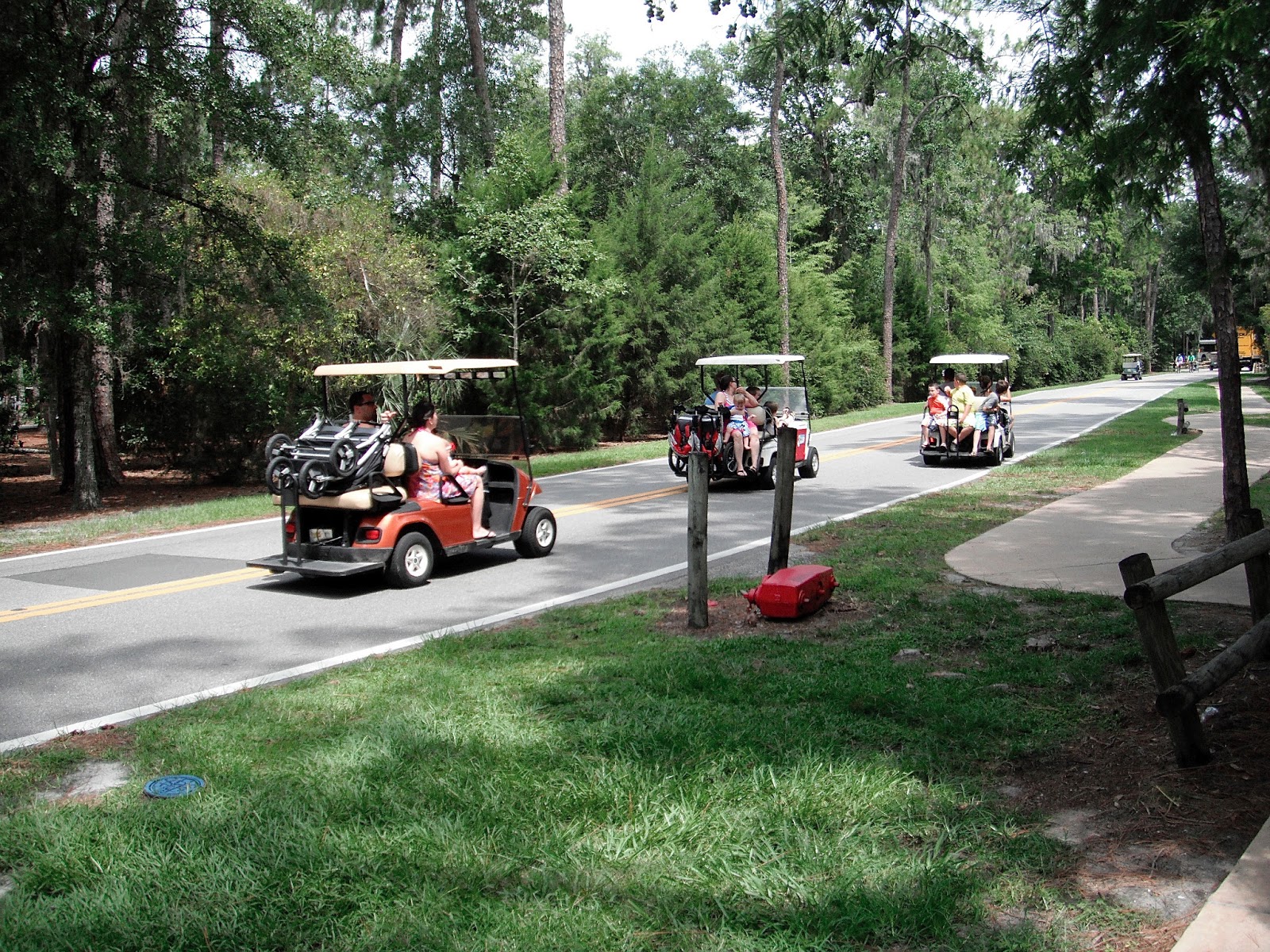 Walt Disney World Travel Destination Disney Resort Review...Disney