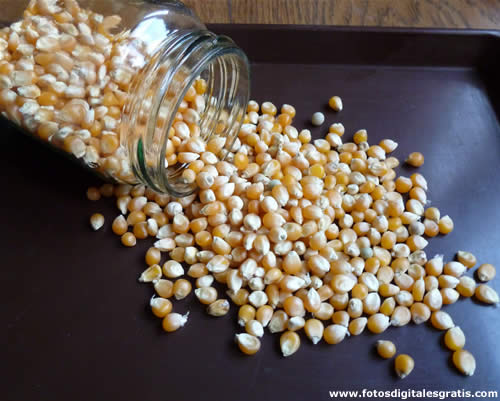 Recetas Cocina Naturista: julio 2013