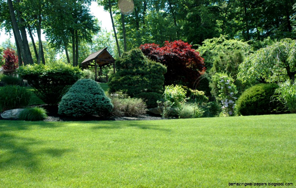 READER PHOTOS Mike  Sheilas garden in New York state Day 2