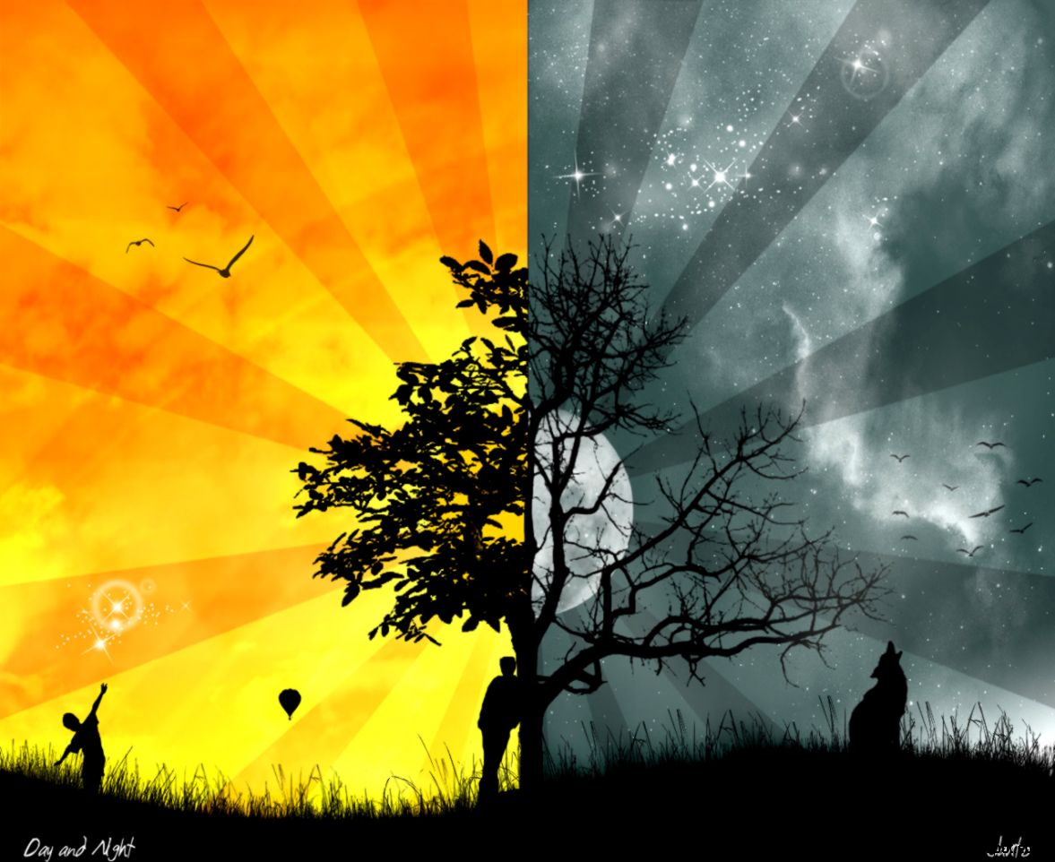 cool wallpapers download