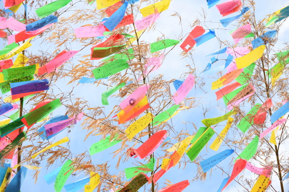 Papeles de colores con los deseos colgados en ramas de bambú (Tanabata)
