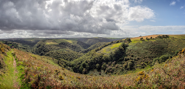 Deep gorge of the tree covered East Lyn Valley in Exmoor National Park