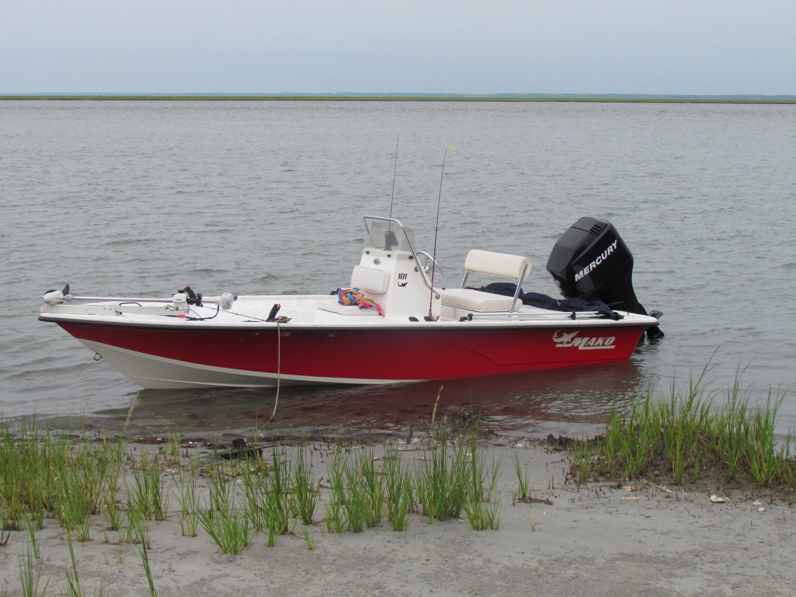 FishWach Wachapreague Fishing Report