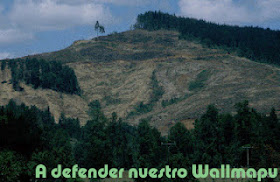 NO Forestales en Wallmapu