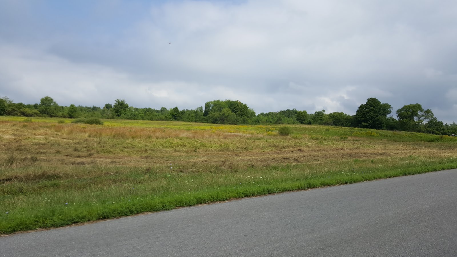 Bicycling for Breath Day 25; 8/18. Oswego to Pulaski, NY