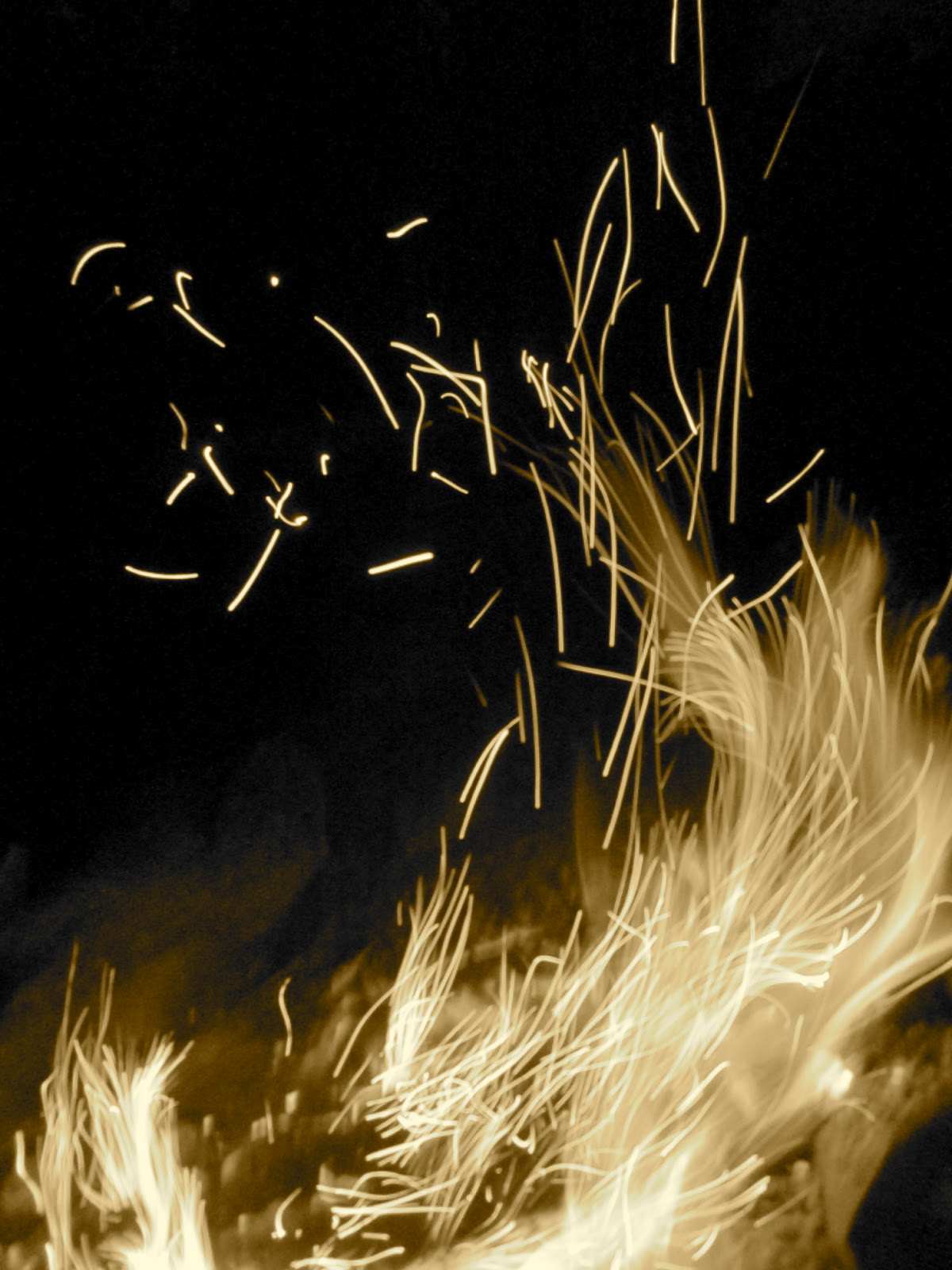 A Year of Being Here Judy Sorum Brown "Fire"