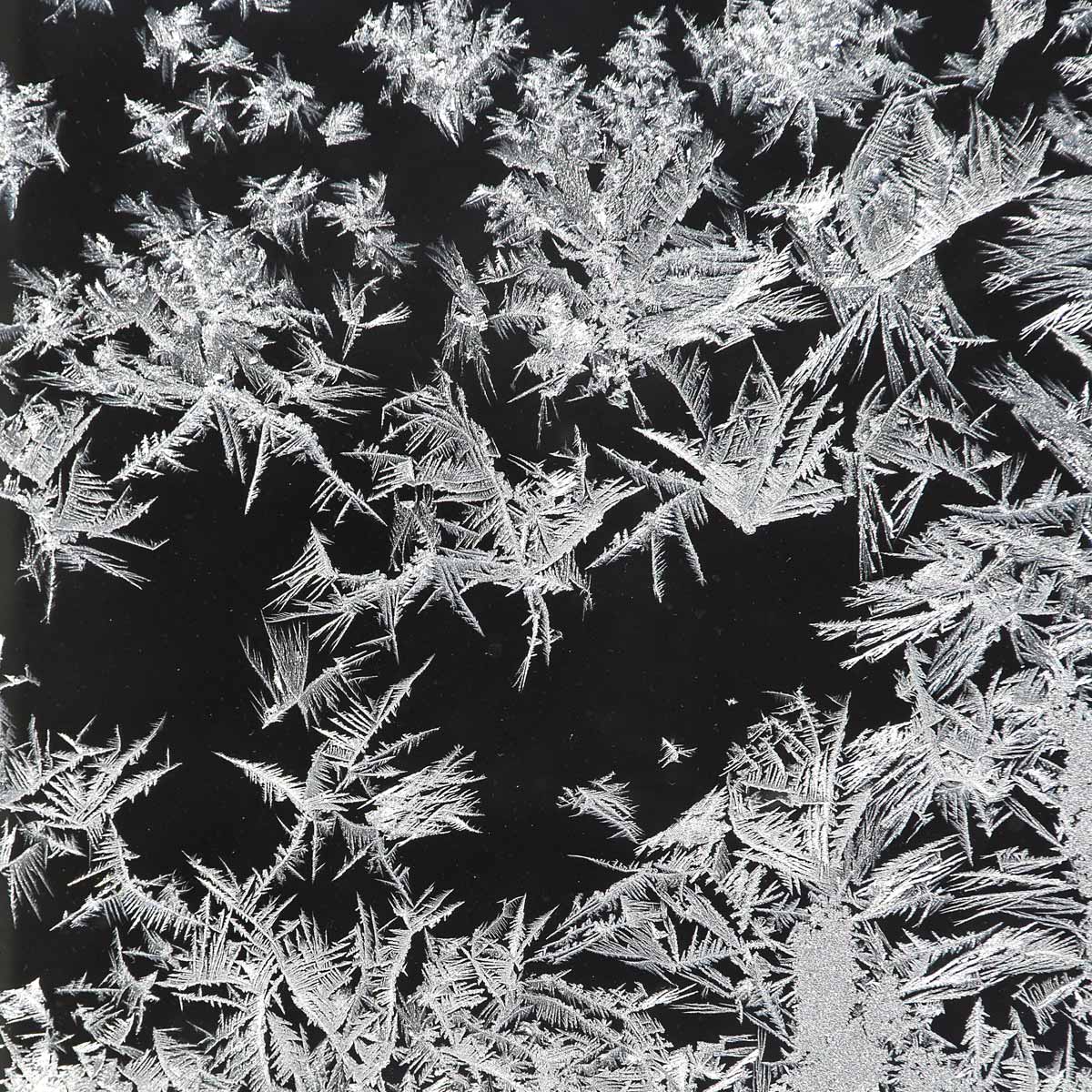 Selep Imaging Blog: Polar Vortex Window Frost