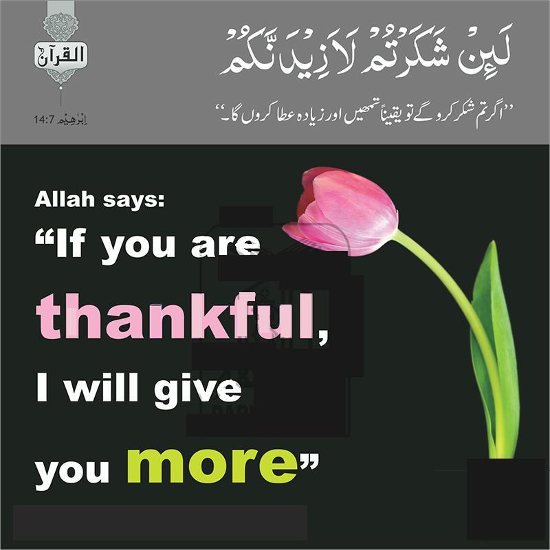 First thanksgiving dinner location