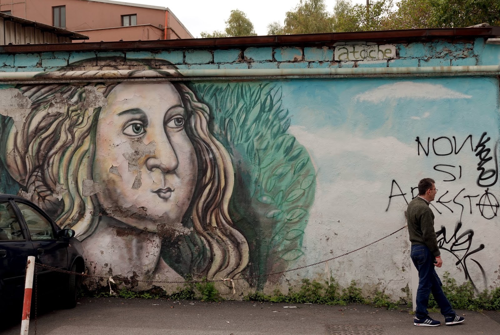 Travelmarx Winter Cardinals And Artic Sea Mural