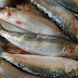 Canned Sardines Suppliers