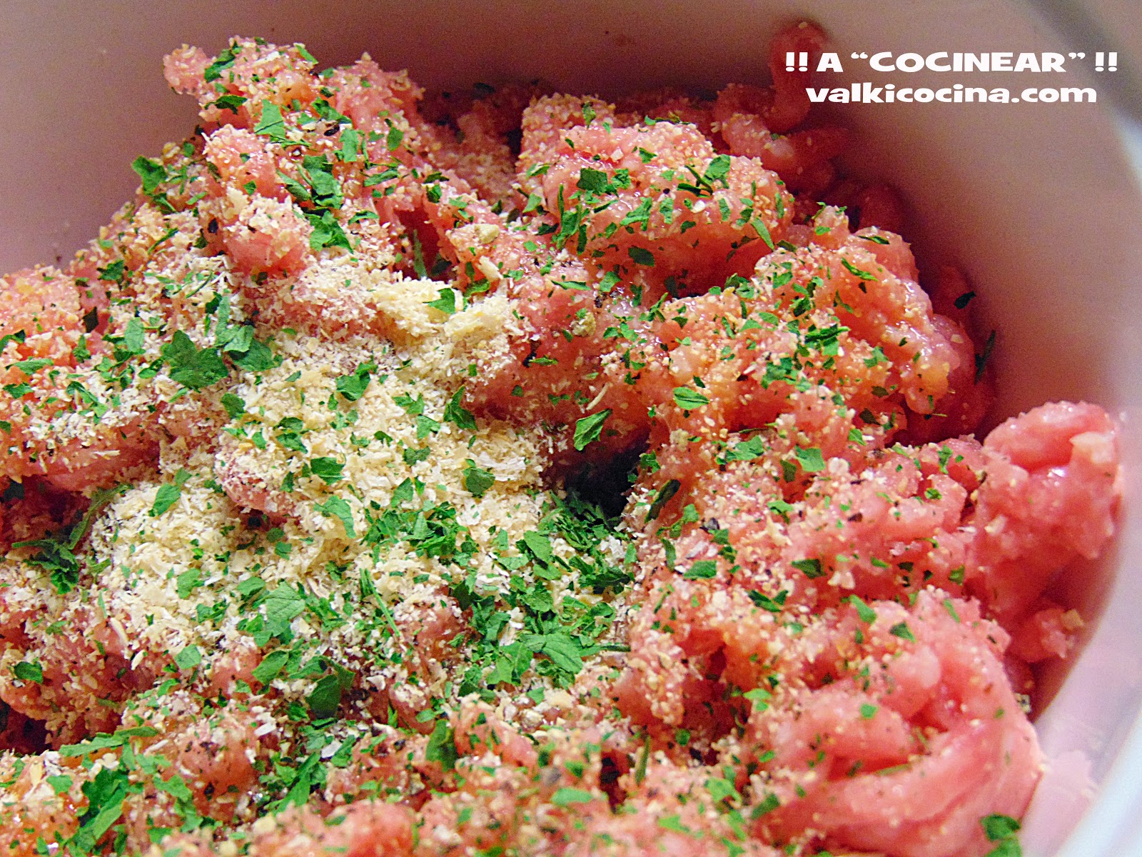6 RECETAS VARIADAS CON CARNE PICADA ¡¡A COCINEAR!! Recetas 6 RECETAS VARIADAS CON CARNE PICADA ¡¡A COCINEAR!! Recetas