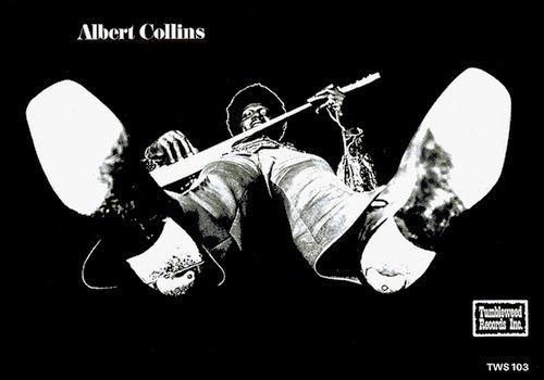 Albert Collins