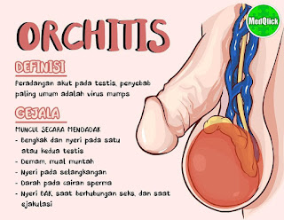 gambar penyakit orchitis