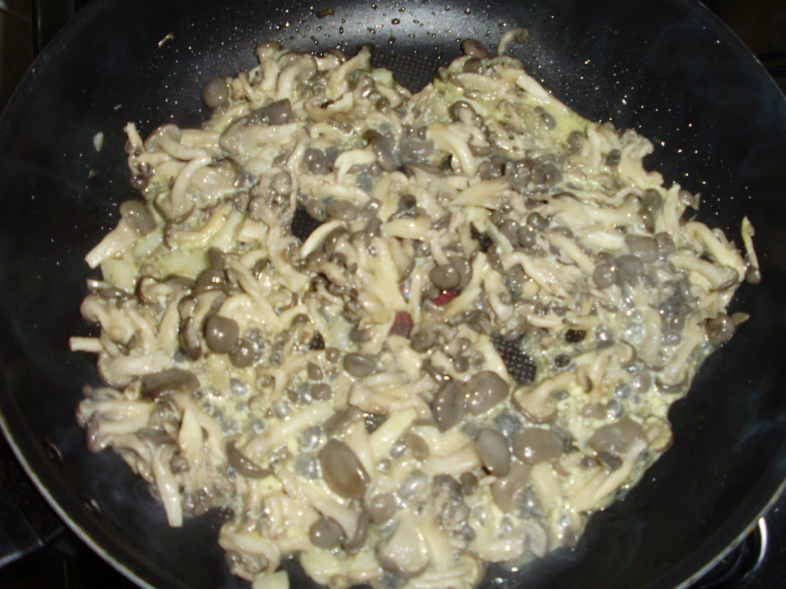 Meu divã... na cozinha Shimeji com brócolis