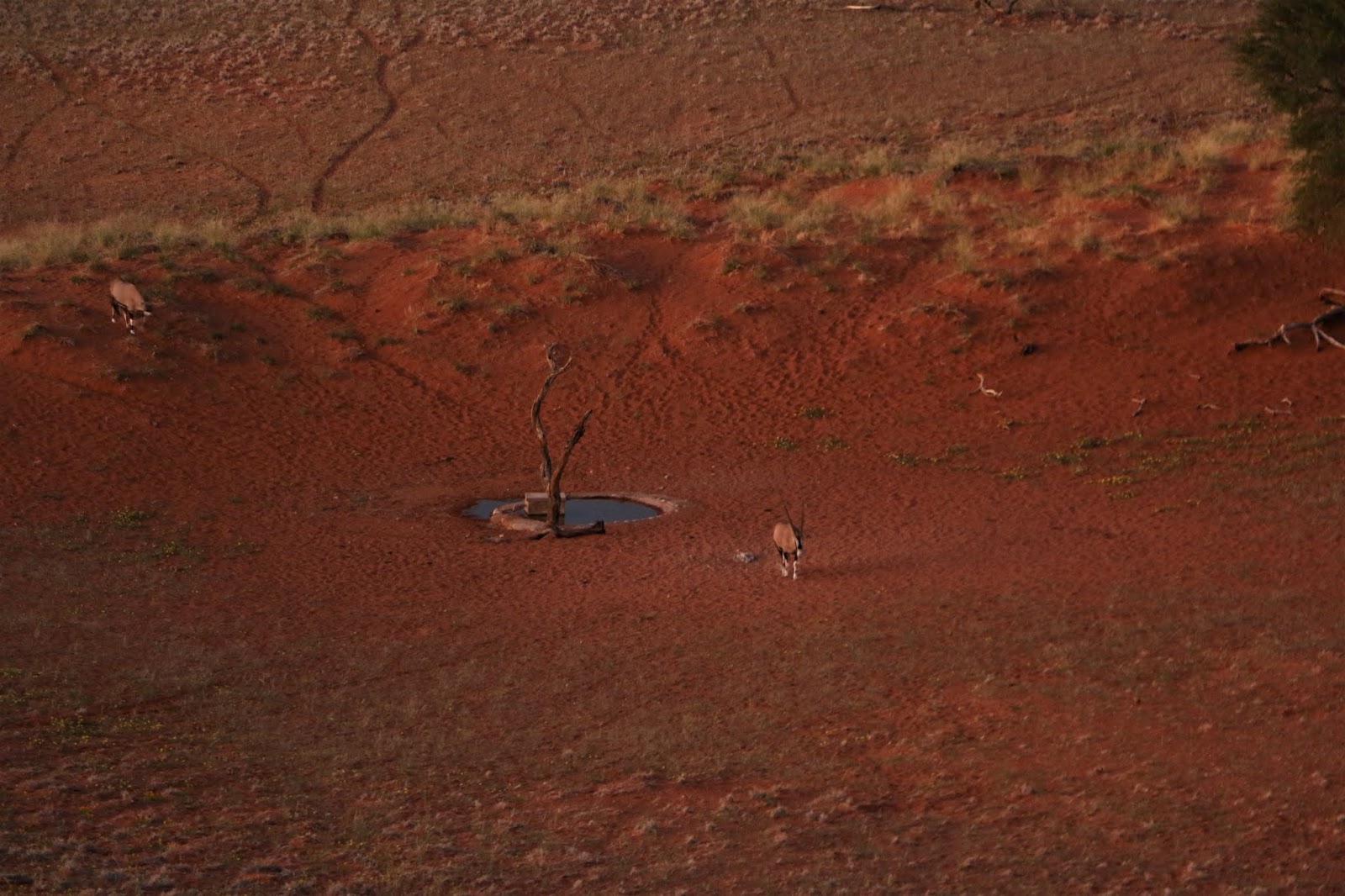 Unser Reisetagebuch: Unterm Sternenhimmel