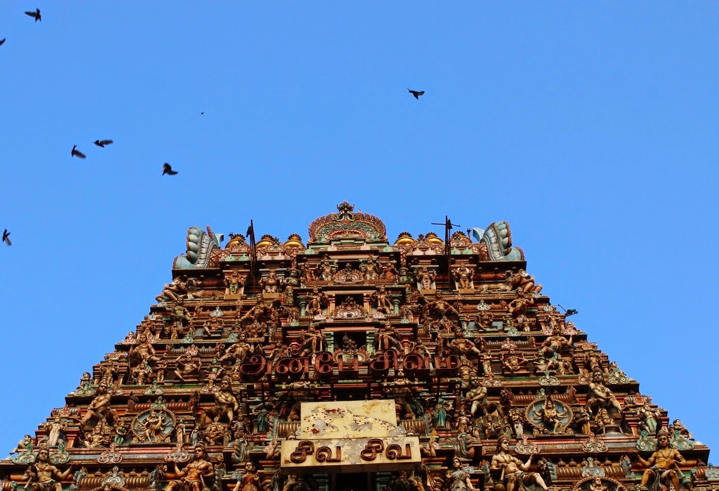 Temples of Chennai Kapaleeshwarar ancient Mylapore gopuram