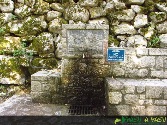 Fuente de Bulnes