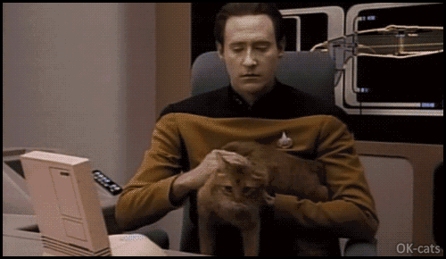 Art Cat GIF • Cinemagragh • Startrek. Lieutenant commander Data petting Spot his pet Cat Art Cat GIF • Cinemagragh • Startrek. Lieutenant commander Data petting Spot his pet Cat