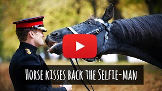 Watch man kissing horse for a selfie get a warm kiss back on his cheek from the happy horse via geniushowto.blogspot.com amazing pet animals and bonding stories