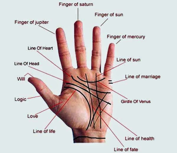 Palmistry About Various Disease