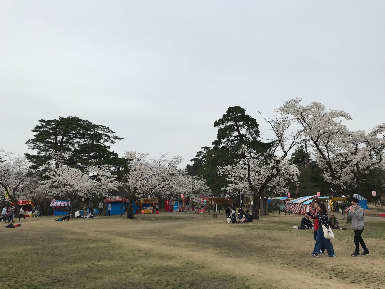 エスネル 豊かな暮らしを送る秘密 新潟観光大使 41 悠久山公園で初花見 動物園 In 長岡市